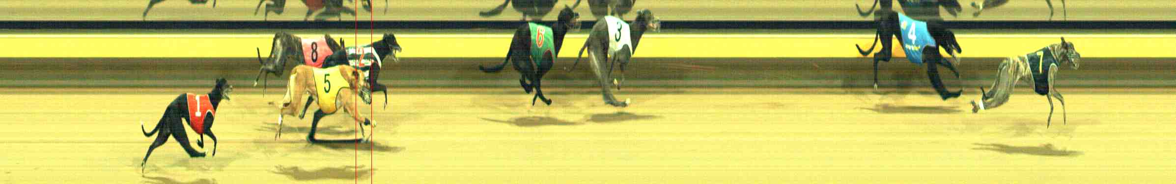 Photo finish for Horsham Race 6