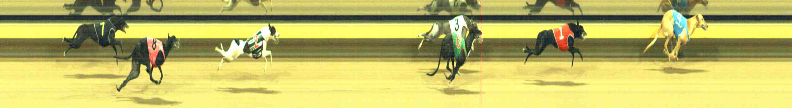 Photo finish for Horsham Race 7