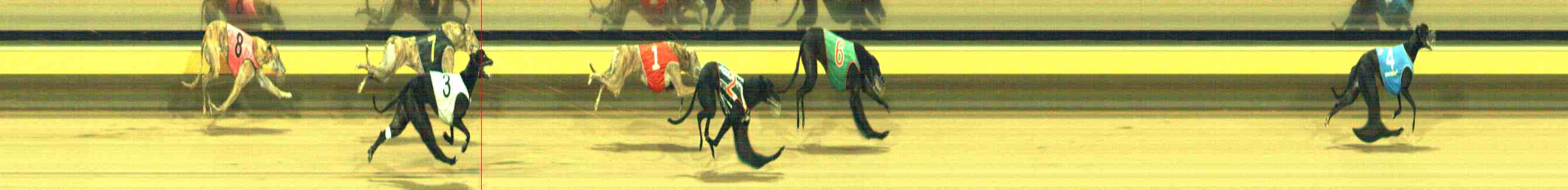 Photo finish for Horsham Race 8
