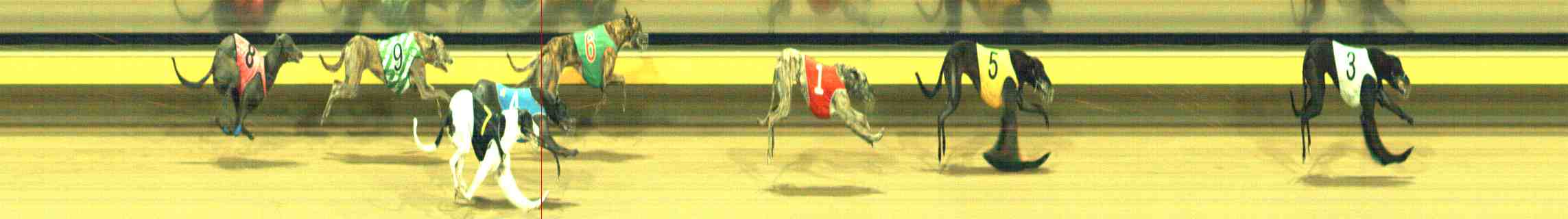 Photo finish for Horsham Race 9