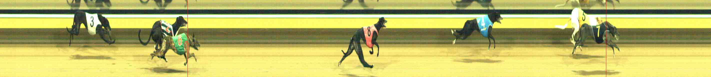 Photo finish for Horsham Race 10