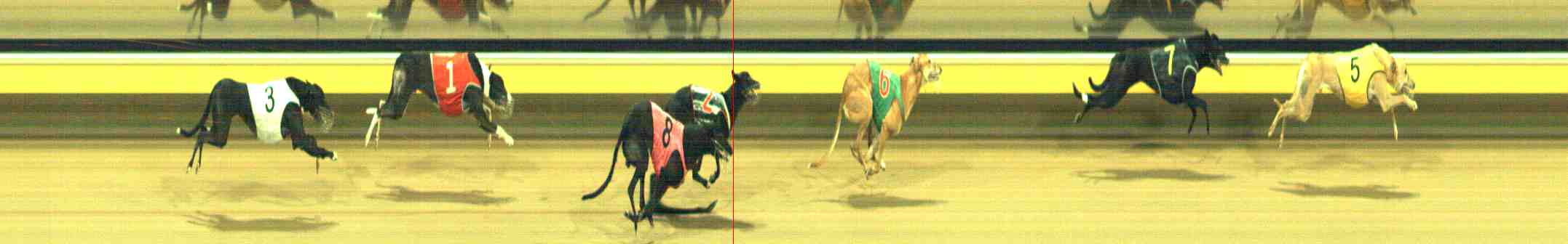Photo finish for Horsham Race 11