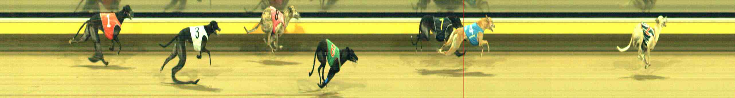 Photo finish for Horsham Race 12