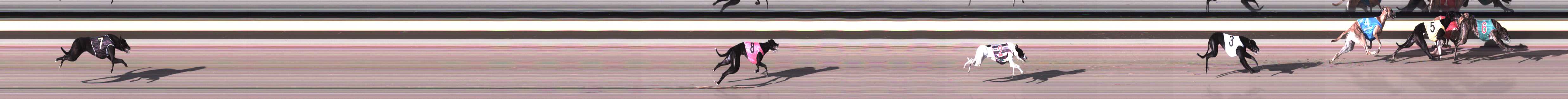 Photo finish for Horsham Race 1