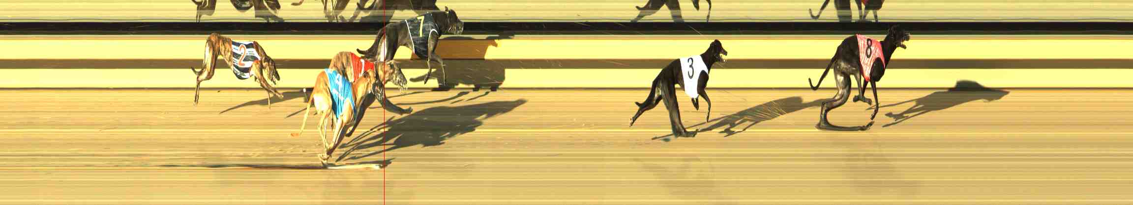 Photo finish for Horsham Race 2