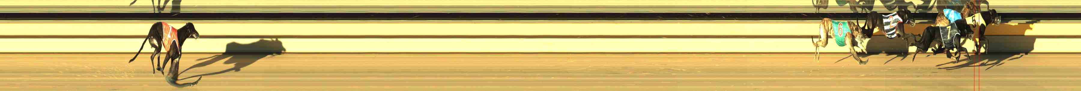 Photo finish for Horsham Race 3