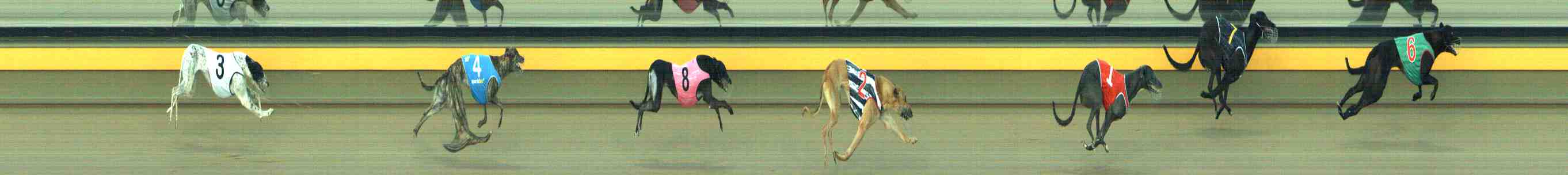Photo finish for Horsham Race 4