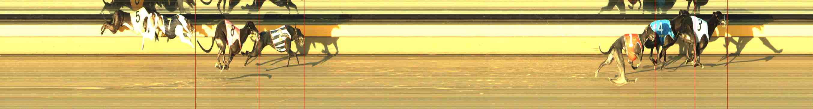 Photo finish for Horsham Race 5