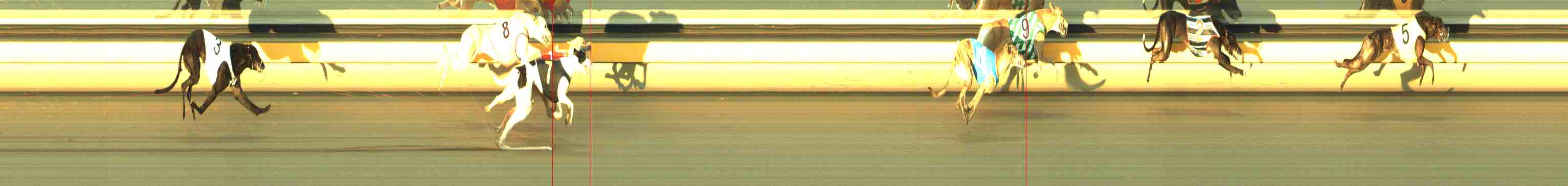 Photo finish for Horsham Race 6
