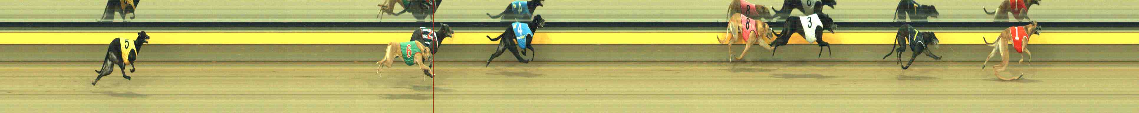 Photo finish for Horsham Race 7
