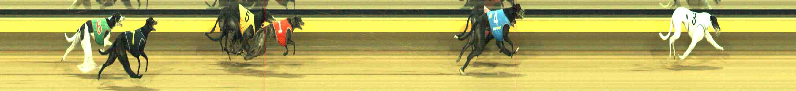 Photo finish for Horsham Race 8