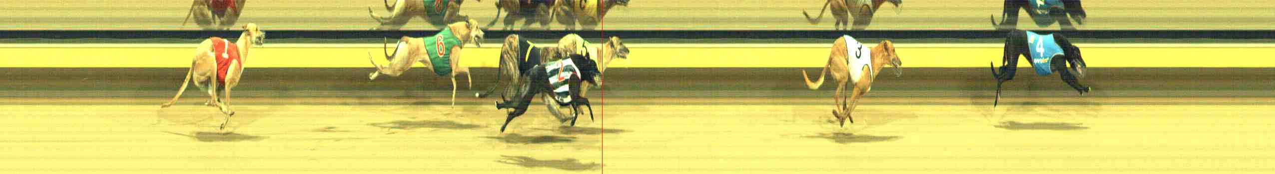 Photo finish for Horsham Race 9