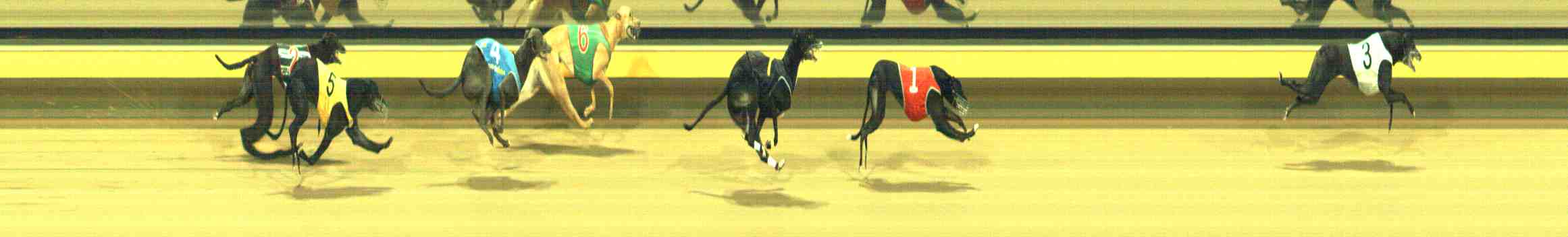Photo finish for Horsham Race 10