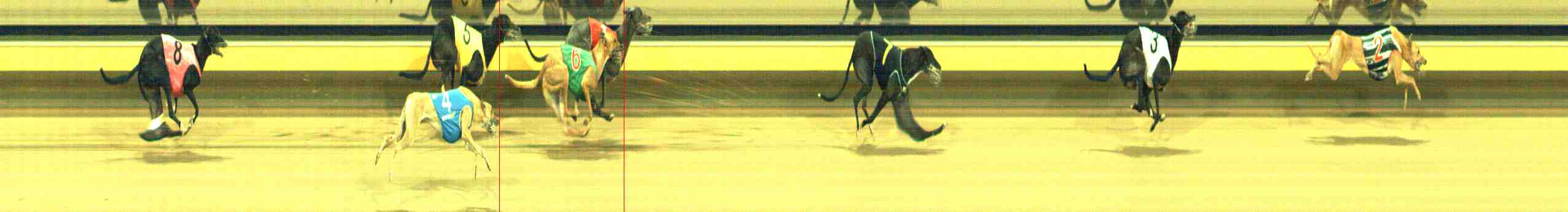 Photo finish for Horsham Race 11