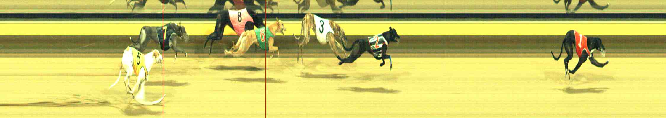 Photo finish for Horsham Race 12