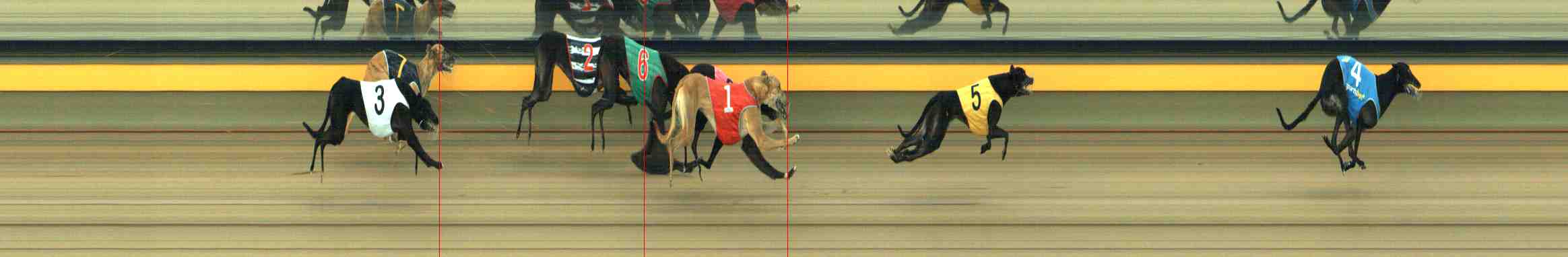 Race result finish photo