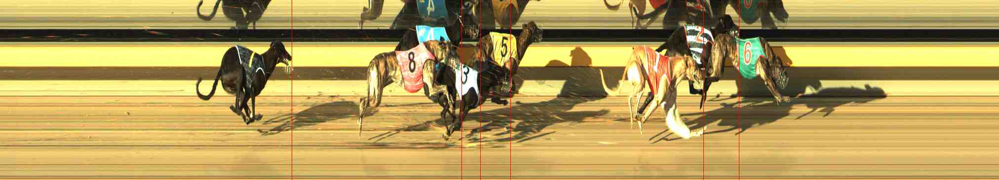 Race result finish photo