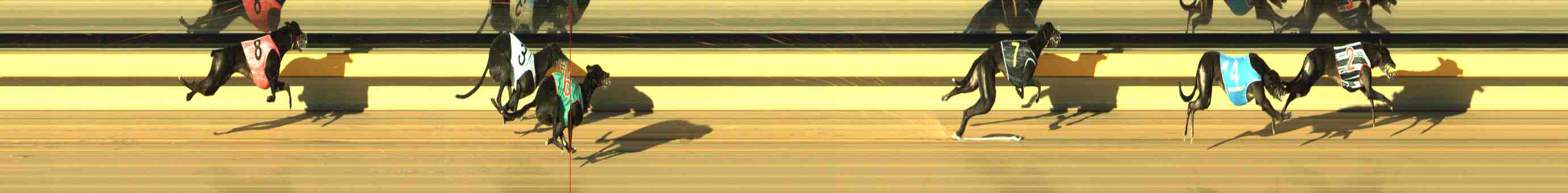 Race result finish photo