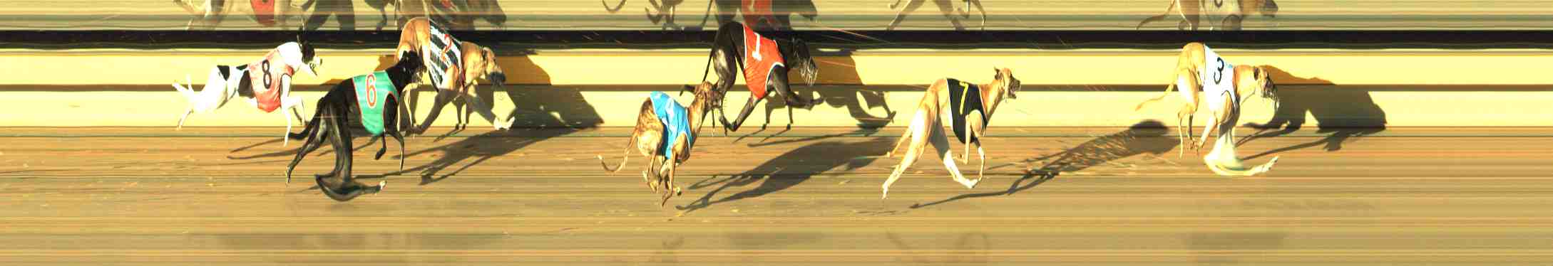 Race result finish photo