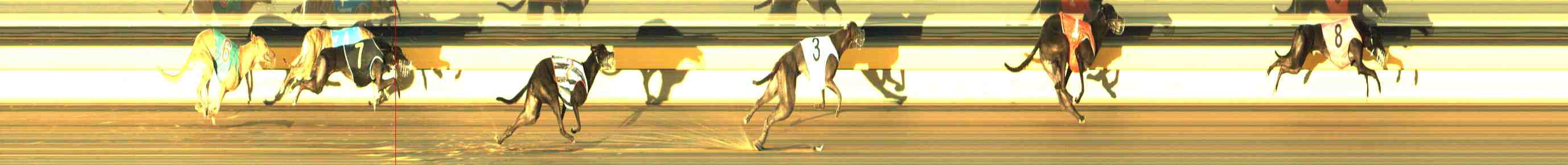 Race result finish photo
