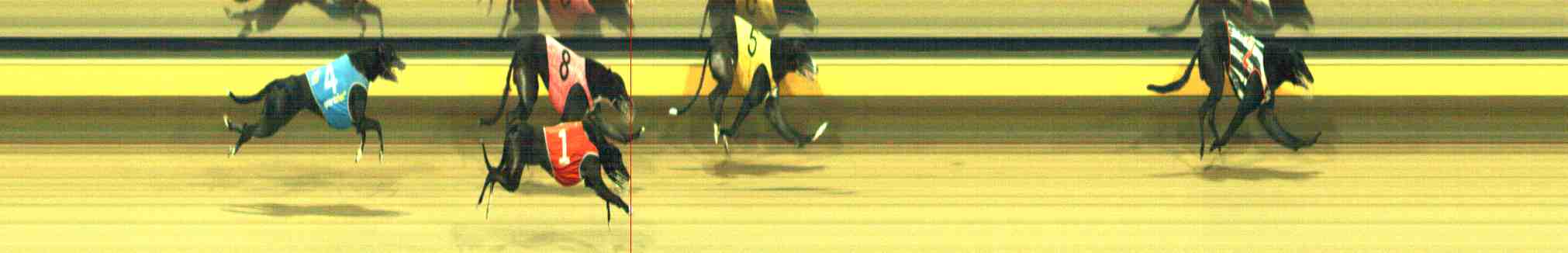 Race result finish photo