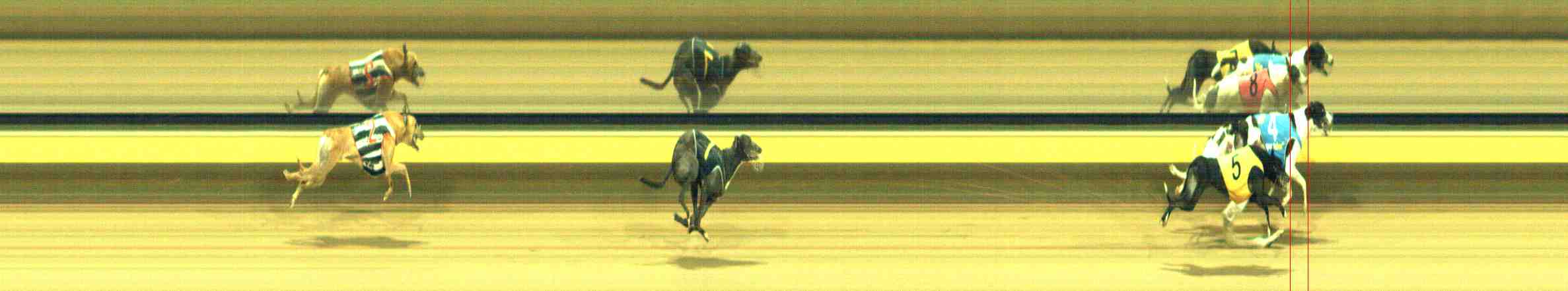 Race result finish photo