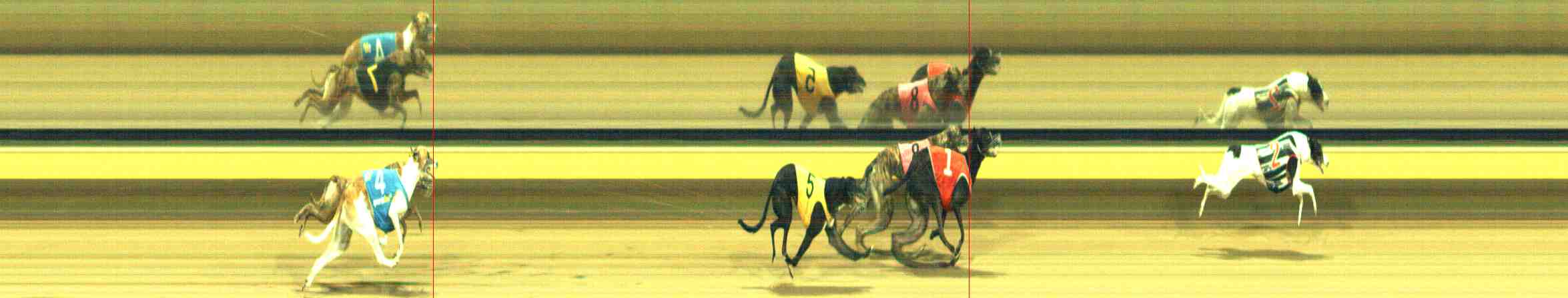 Race result finish photo