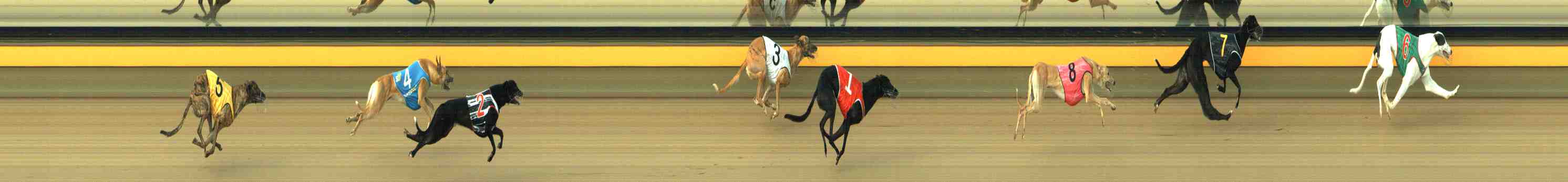 Race result finish photo