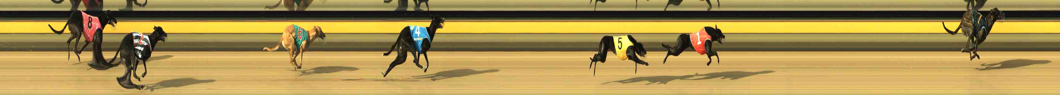 Photo finish for Horsham Race 2