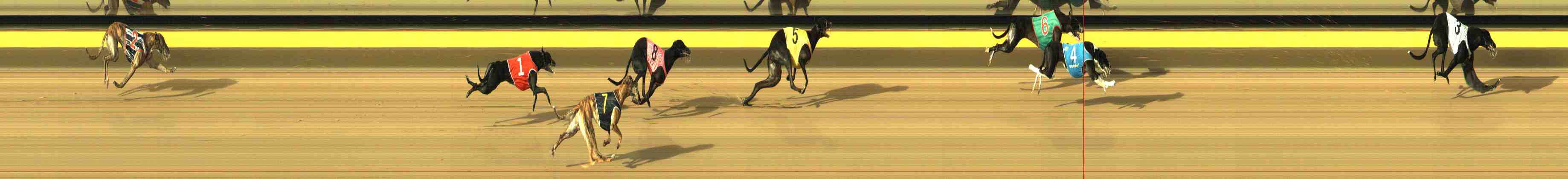 Photo finish for Horsham Race 3