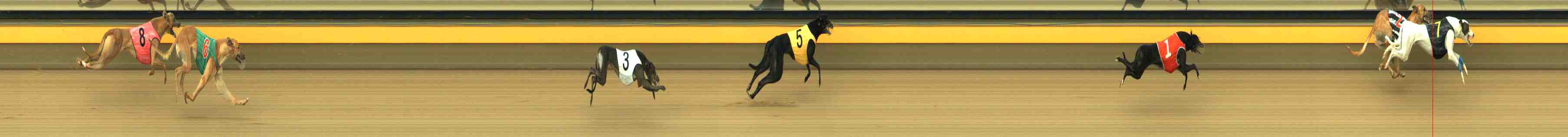 Photo finish for Horsham Race 4