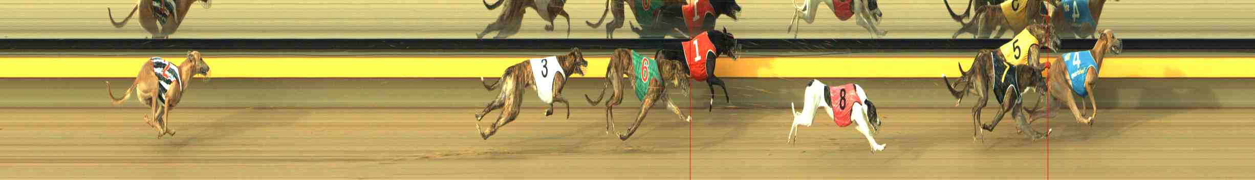 Photo finish for Horsham Race 5