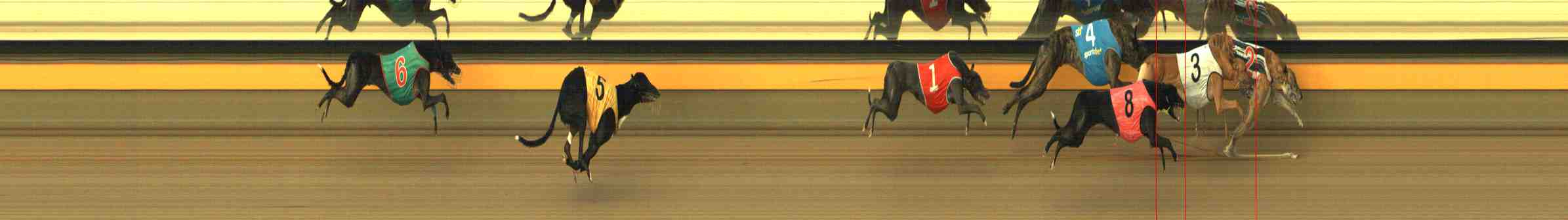 Photo finish for Horsham Race 7