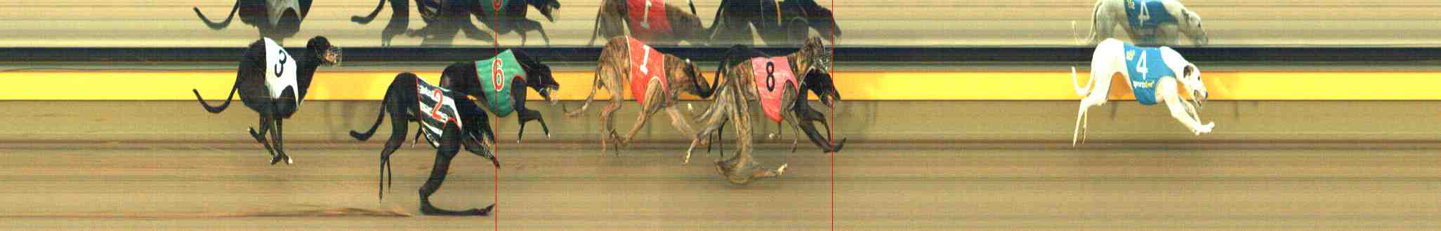 Photo finish for Horsham Race 8