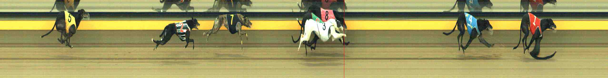 Photo finish for Horsham Race 9