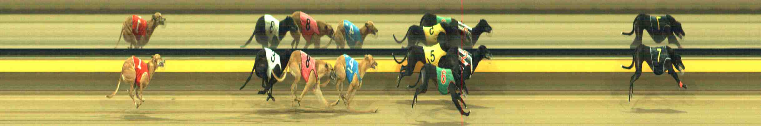 Photo finish for Horsham Race 10
