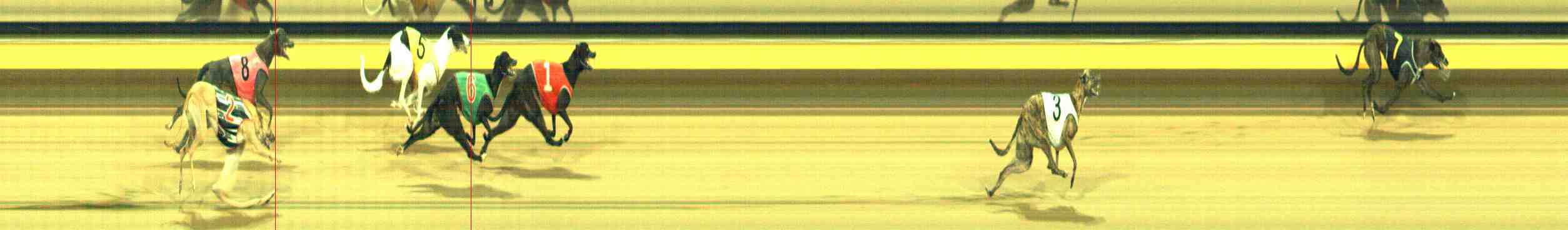 Photo finish for Horsham Race 11