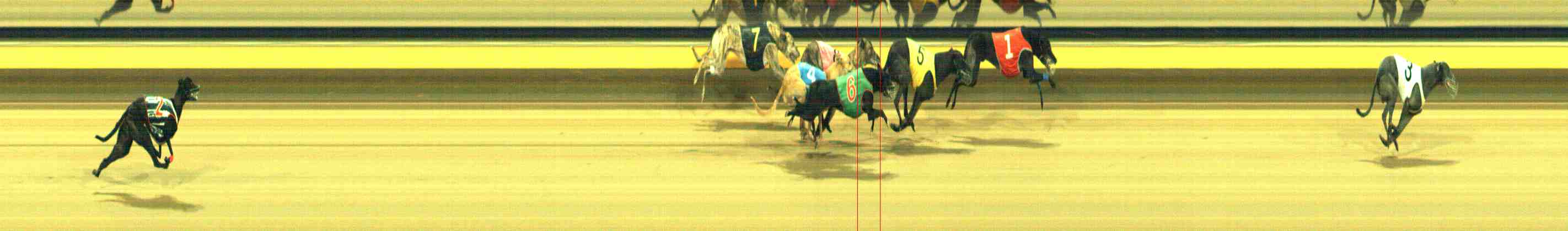 Photo finish for Horsham Race 12