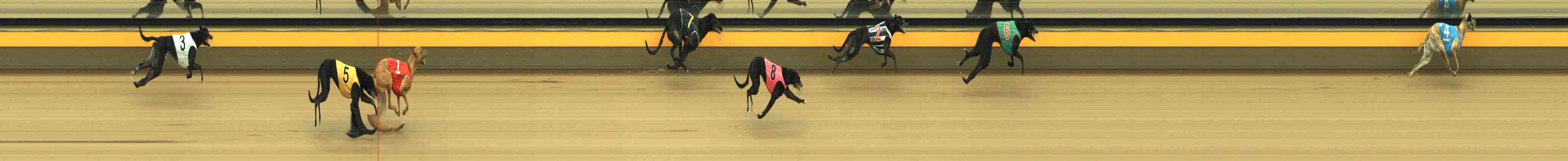 Photo finish for Horsham Race 2