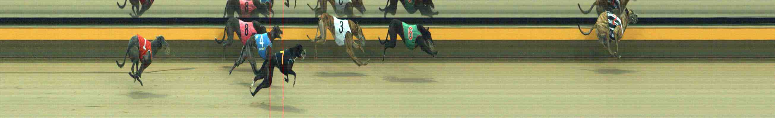 Photo finish for Horsham Race 4