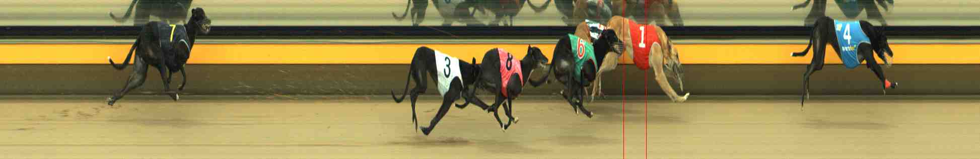 Photo finish for Horsham Race 5