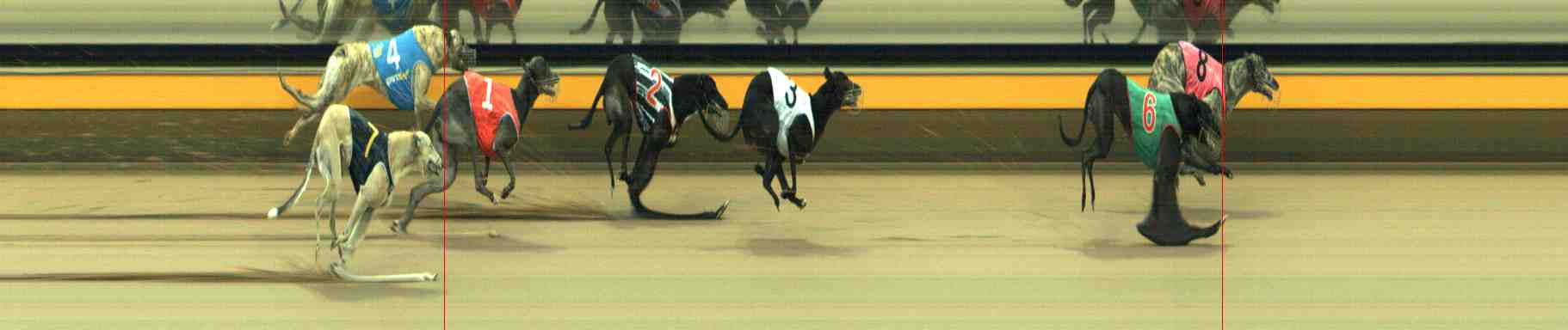 Photo finish for Horsham Race 6