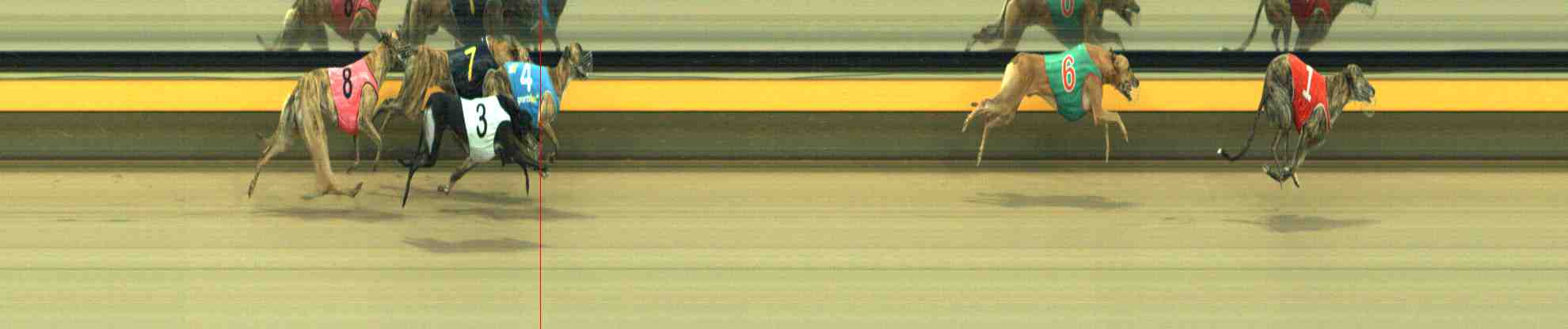 Photo finish for Horsham Race 7