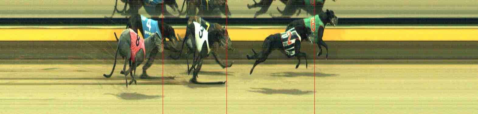 Photo finish for Horsham Race 8
