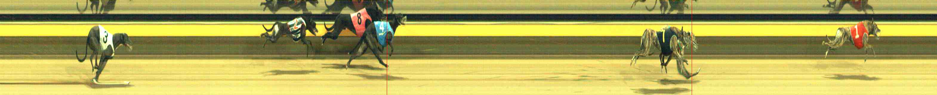 Photo finish for Horsham Race 9