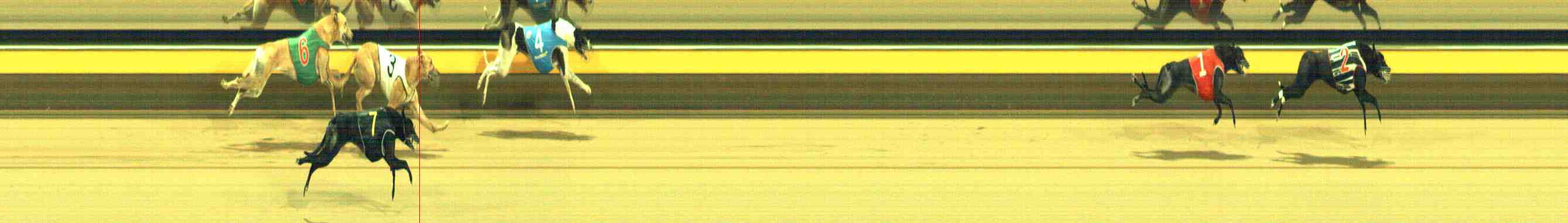 Photo finish for Horsham Race 10