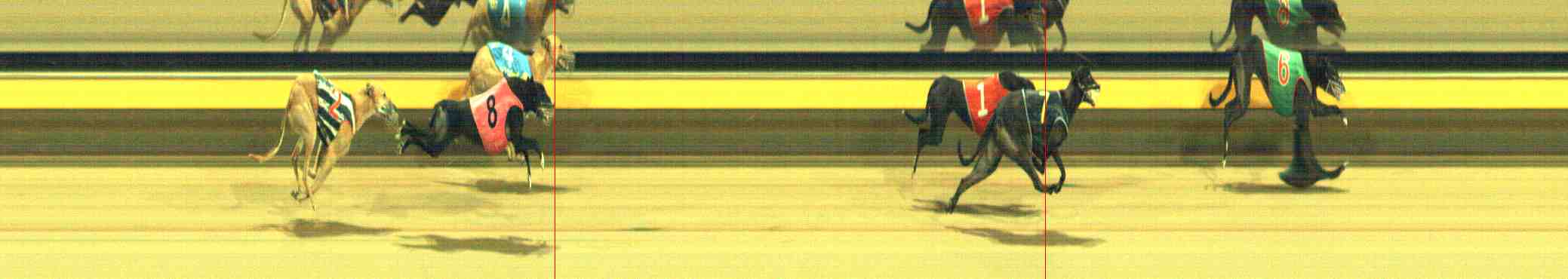 Photo finish for Horsham Race 11