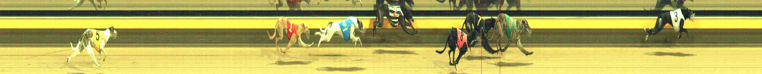 Photo finish for Horsham Race 12