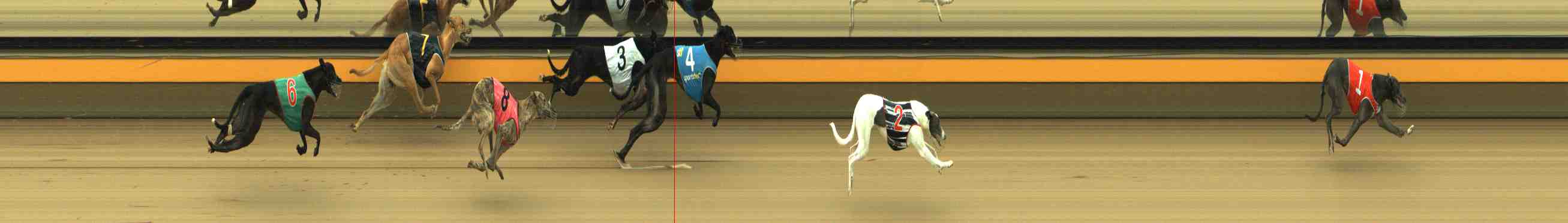 Race result finish photo