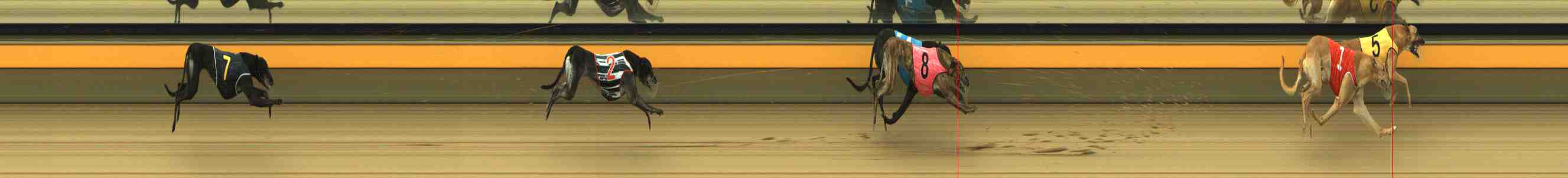 Photo finish for Horsham Race 2